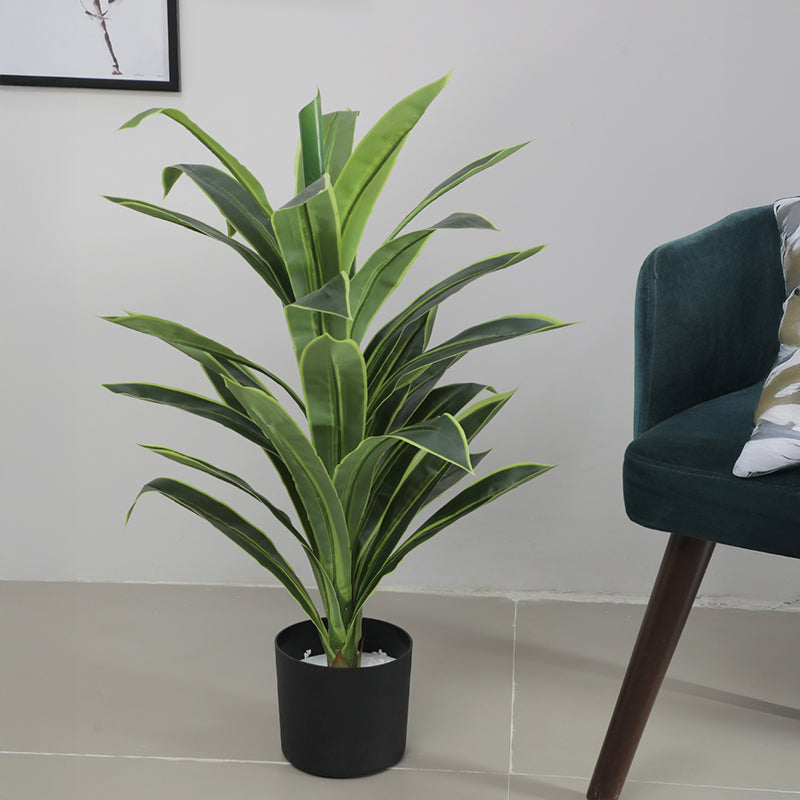 Danae Artificial Dracaena Plant With Black Plastic Pot - 2.8 Feet media 3