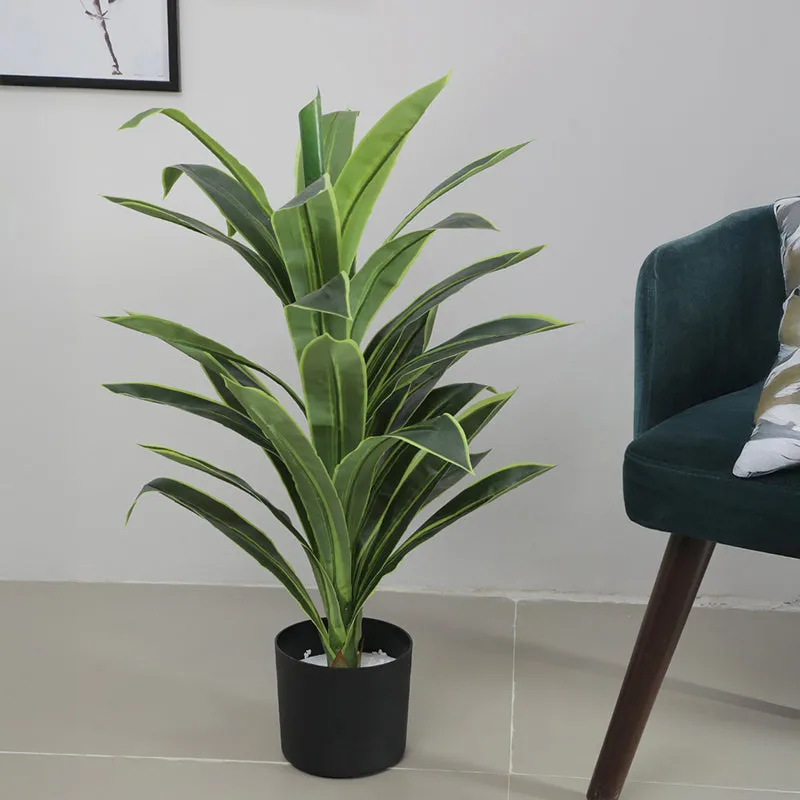 Danae Artificial Dracaena Plant With Black Plastic Pot - 2.8 Feet media 3