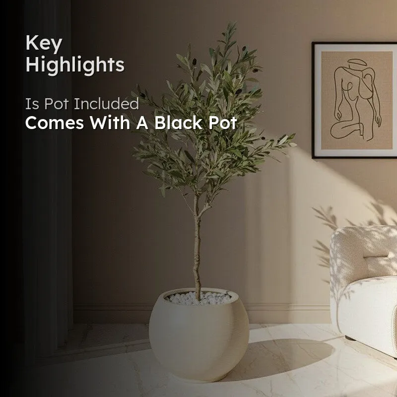 Olivara Artificial Olive Tree With Black Plastic Pot - 145 cm (4.8 ft) media 2