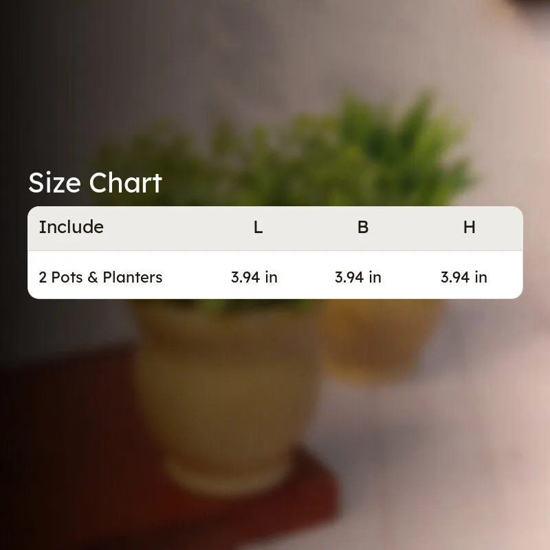 GoldenSprout Planters - Set Of Two media 12