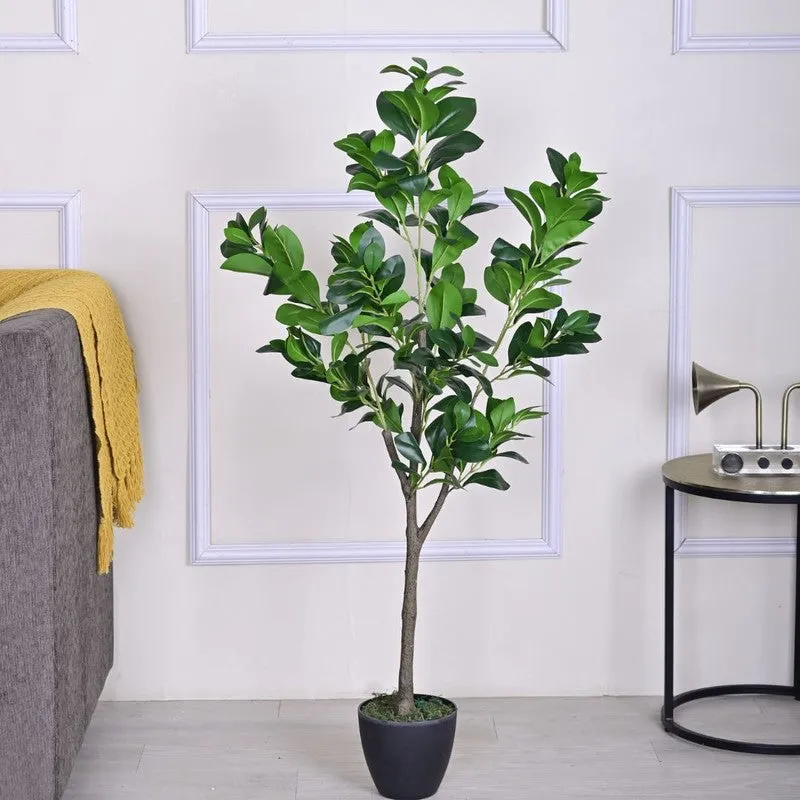 Artificial Peperomia Plant Without Pot - 3.9 Feet media 3