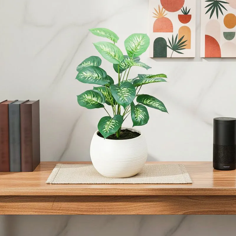 Evergreen Dieffenbachia Artificial Plant Without Pot - 2.3 Feet media 1