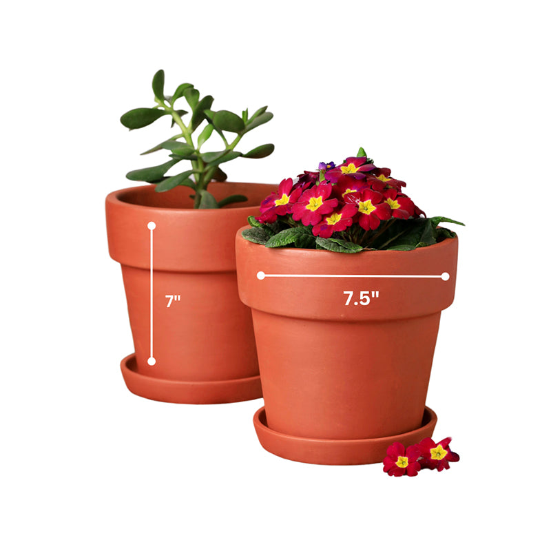 Rusticana Terracotta Planter - Set Of Two media 5