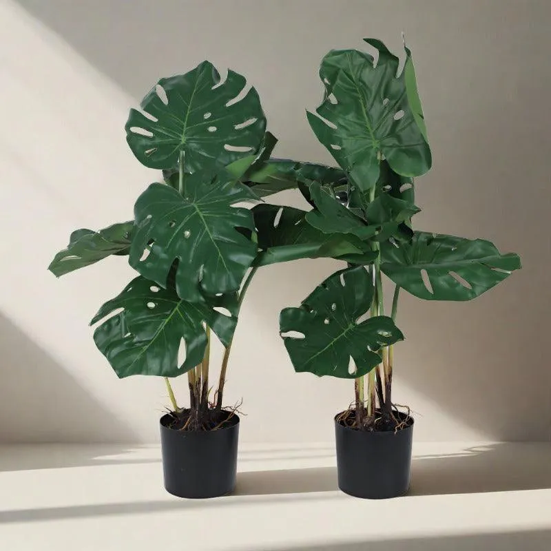 Two artificial Monstera plants with glossy green leaves in black pots