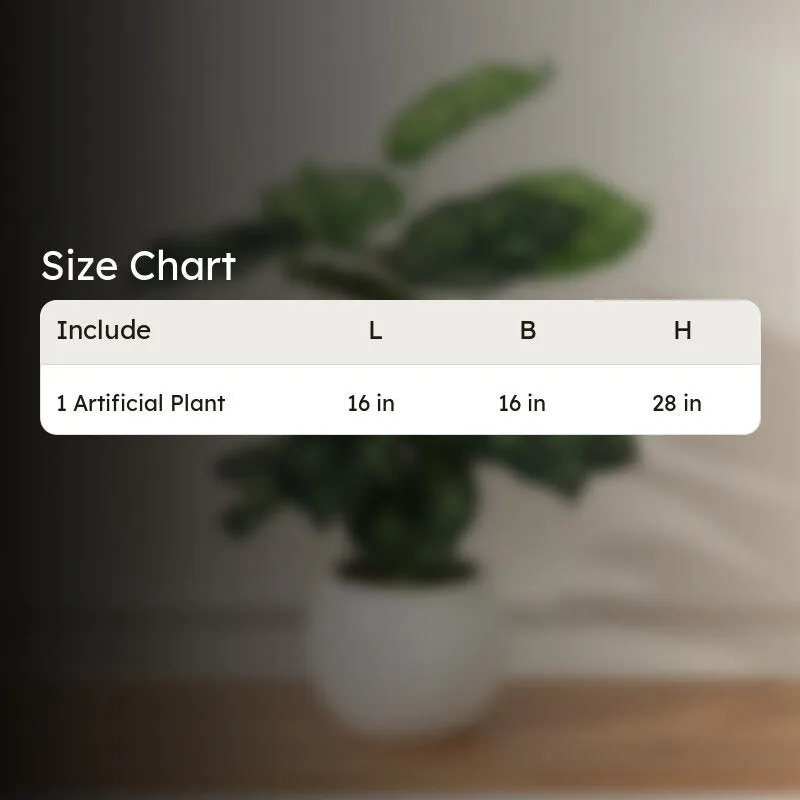 Faux Lush Peperomia Plant With Black Plastic Pot - 2.3 Feet media 9