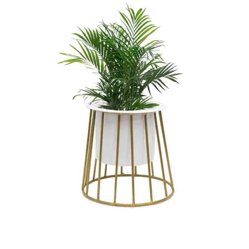 Muse Table Top Planter With Stand - Set Of Two media 6