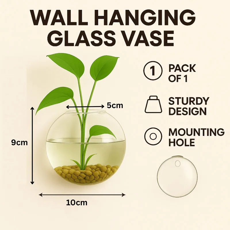 Round glass vase with green stems shown against a light background