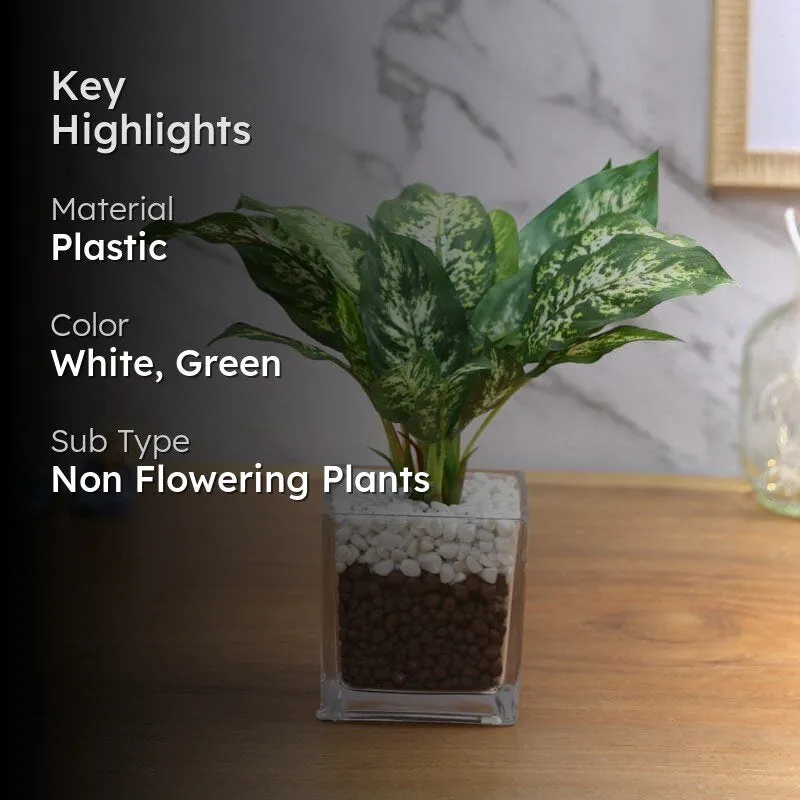 Faux Dieffenbachia Bonsai In Glass Pot - 27 cms media 2