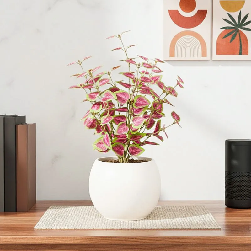 Artificial Natural Looking Coleous Big Plant With Black Fiber Pot (Pink) - 1.4 Feet media 1