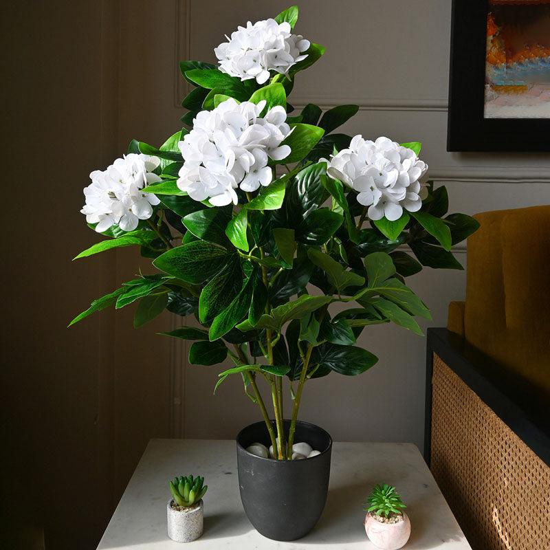 Faux Everlasting Hydrangea Plant With Black Plastic Pot (Pale White) - 76 cm (2.5 ft) media 3