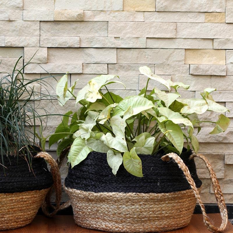 Botanical Garden Jute Planter media 4