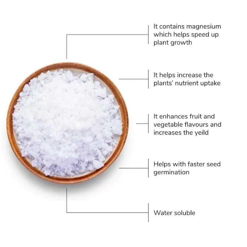 Ugaoo Magnesium Sulphate Organic Fertilizer (Epsom Salt) - (1kg,3kg,5kg) media 3