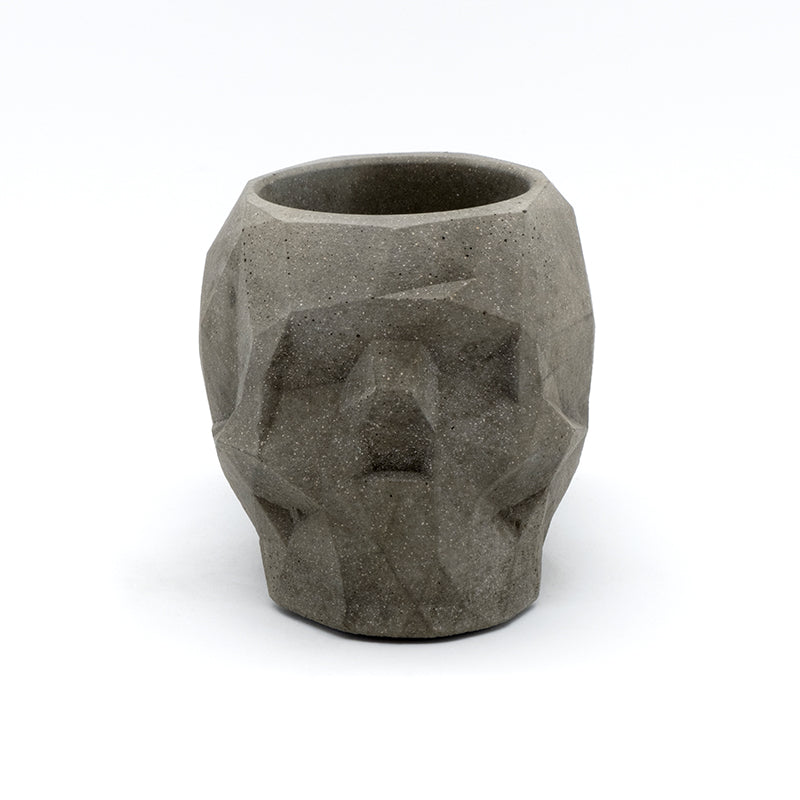 Skuller Ash Tray media 5