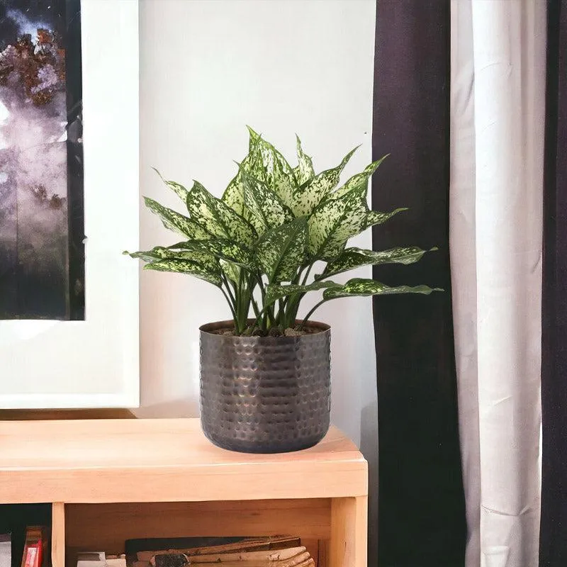Green leafy plant in a hammered copper-toned cylindrical planter