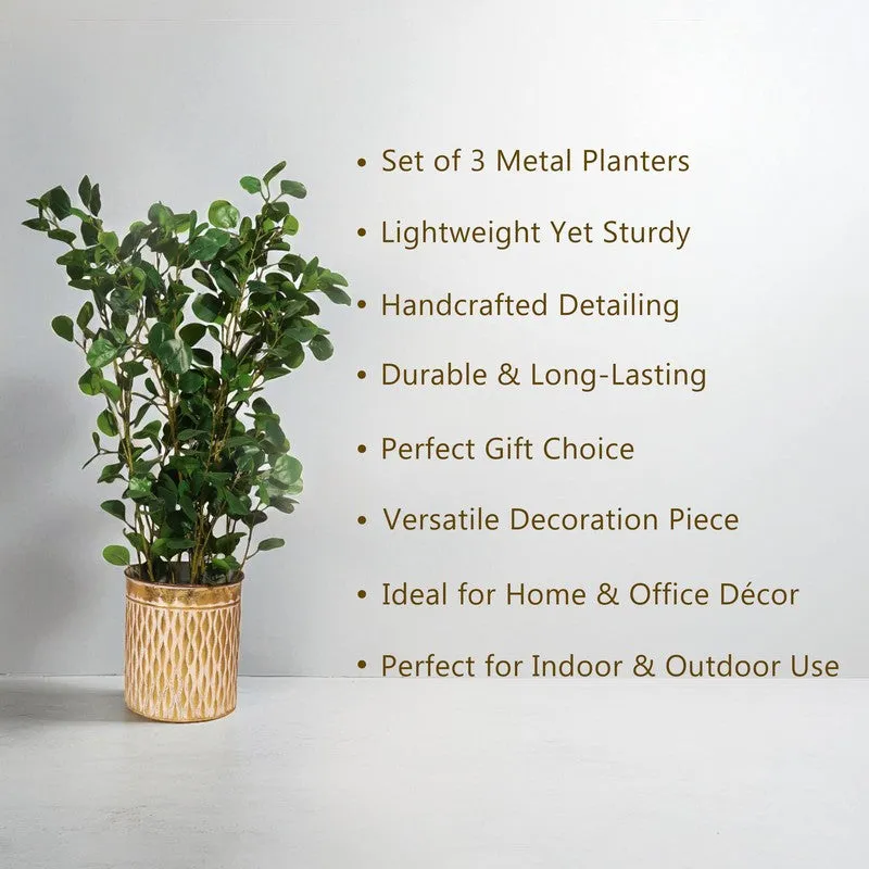 Aurora Metal Planters - Set Of Three media 6