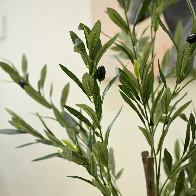 Green Nest Olive Artificial Plant With Black Plastic Pot - 152 cm (5 ft) media 5