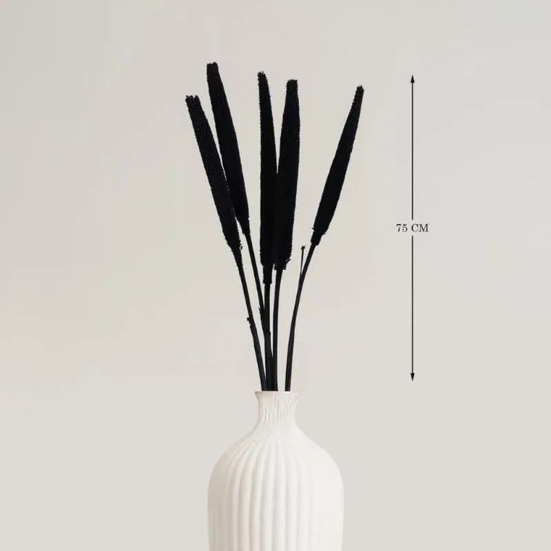 Mimo Dried Millet Grass (Black) - Set Of Five media 4