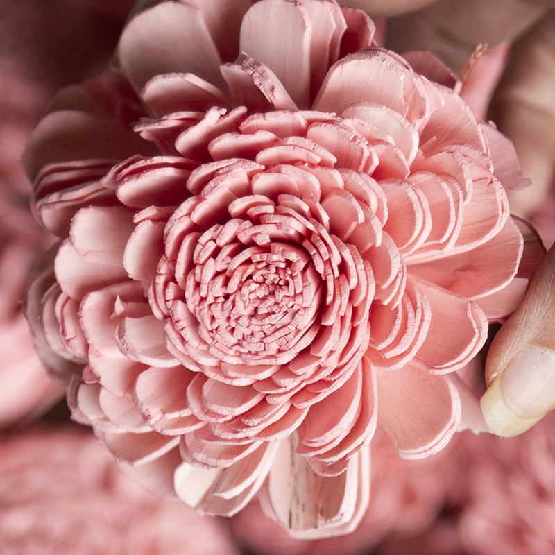 Fleura Sola Wood Flower (Pink) - Set Of Ten media 3