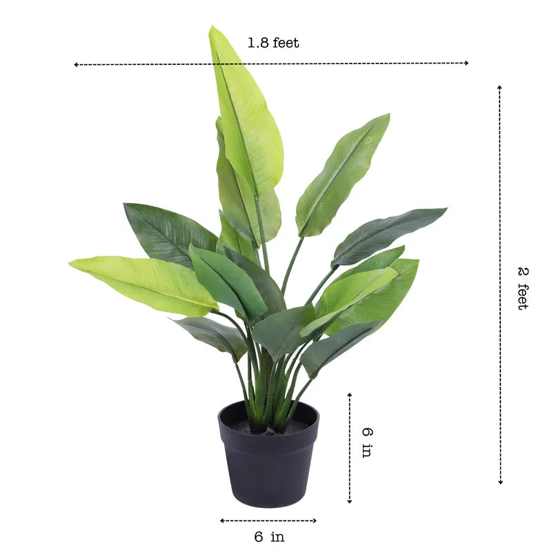 Artificial Realistic Banana With Black Plastic Pot - 2.3 Feet media 8