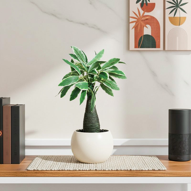Ever Lush Artificial Plant With Black Plastic Pot - 1 ft