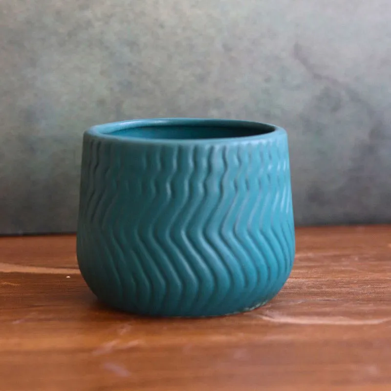 Ravia Aesthetic Planter Combo - Set Of Six media 3