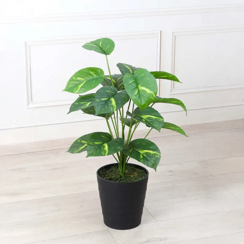 Calm Green Pothos Artificial Plant Without Pot - 2.3 Feet media 2