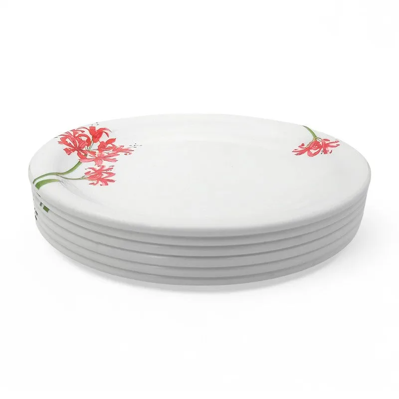 Orchid Blossom Melamine Dinner Plates - Set of Six - 6