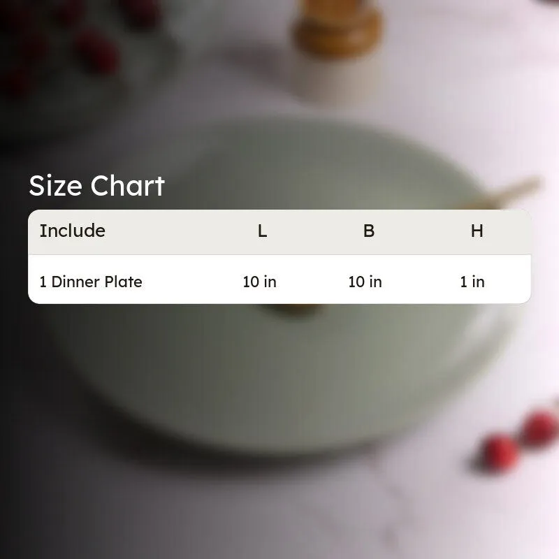 Diara Ceramic Dinner Plate media 8