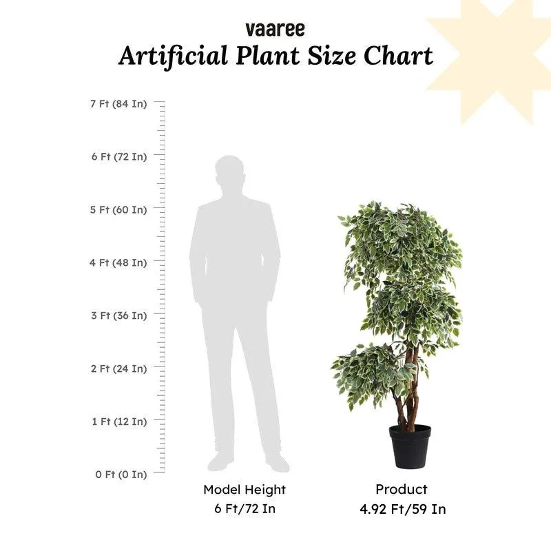 Artificial Variegated Ficus Bonsai With Black Plastic Pot 5.5 ft media 9