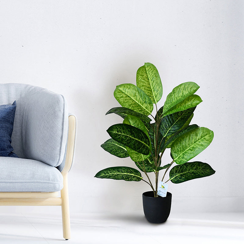 Faux Fiddle Fig Plant With Black Plastic Pot - 79 cm (2.6 ft) media 3