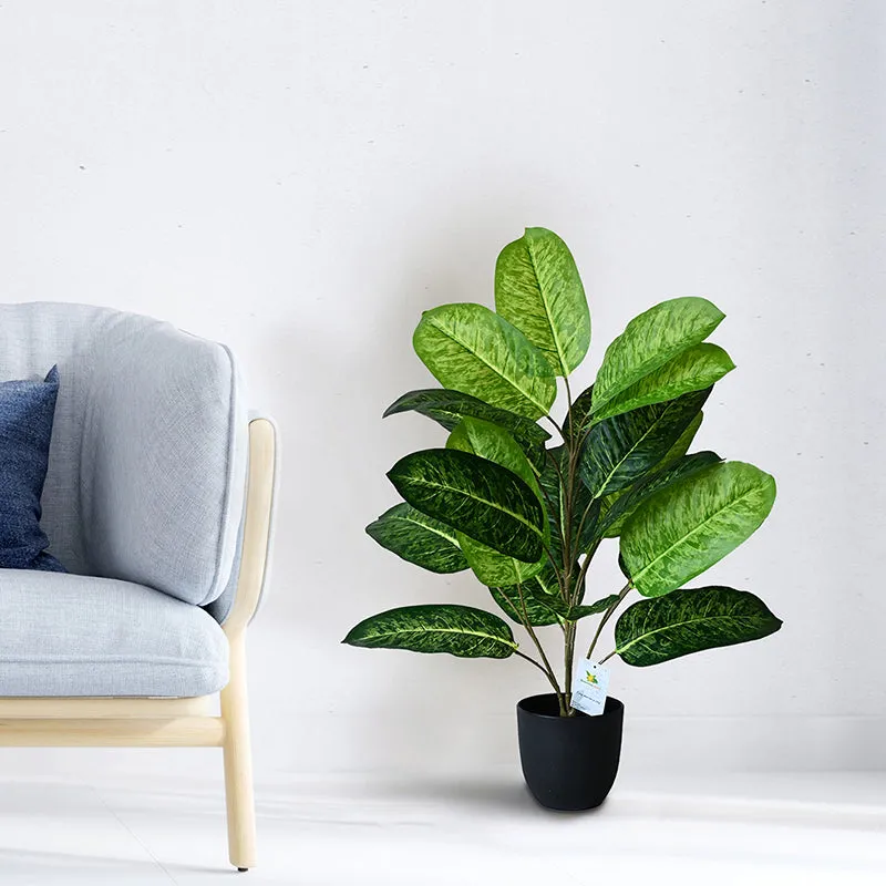 Faux Fiddle Fig Plant With Black Plastic Pot - 79 cm (2.6 ft) media 3