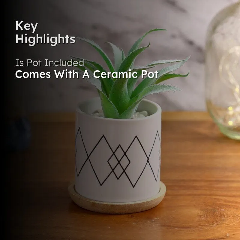 Faux Aloe Vera In Minimalist Pot - 14 cms media 2
