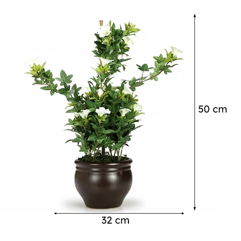 Faux Tall Morning Glory Bonsai In Ceramic Pot (50 cms) - Green & Brown media 5