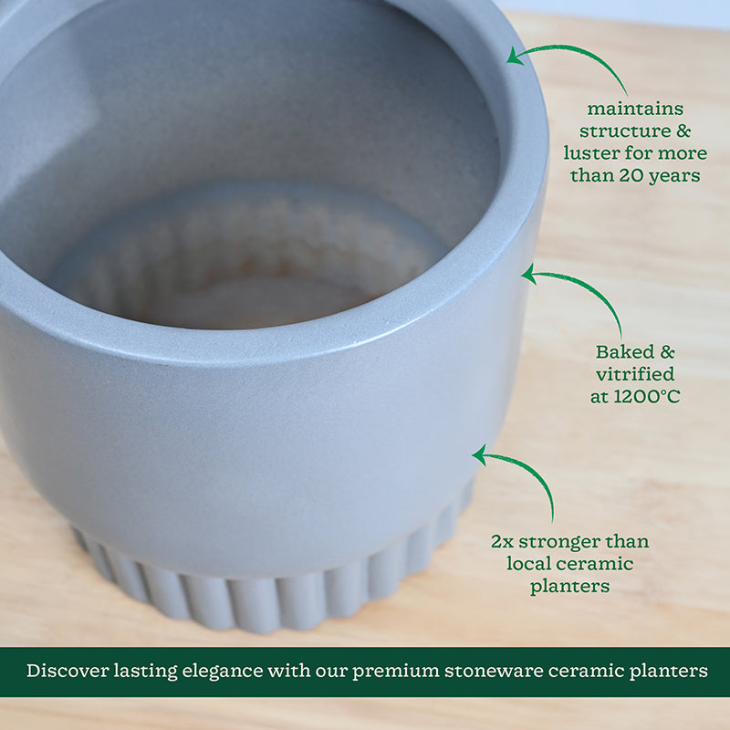 Ugaoo Sleepy Sprout Round Ceramic Planter - Grey media 5