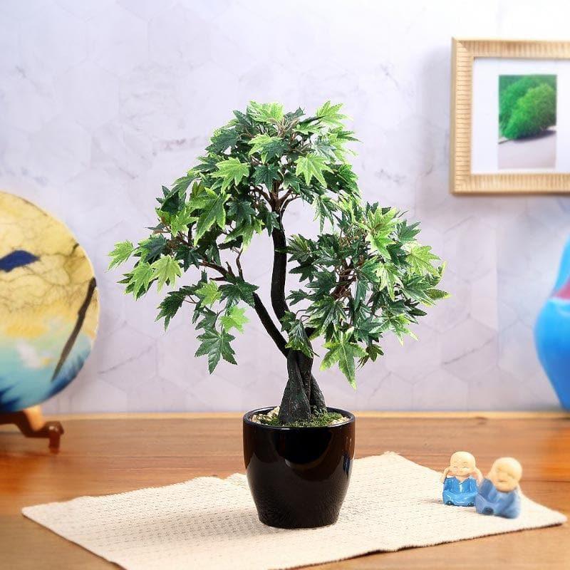 Faux Tall Maple Bonsai (39 cms) - Green media 2