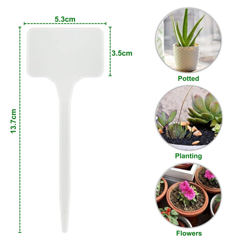Nedura Plant Marker - Set Of Twenty five media 8