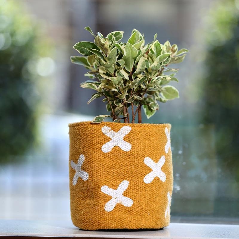 Dreamcatcher Delight Cotton Planter media 2