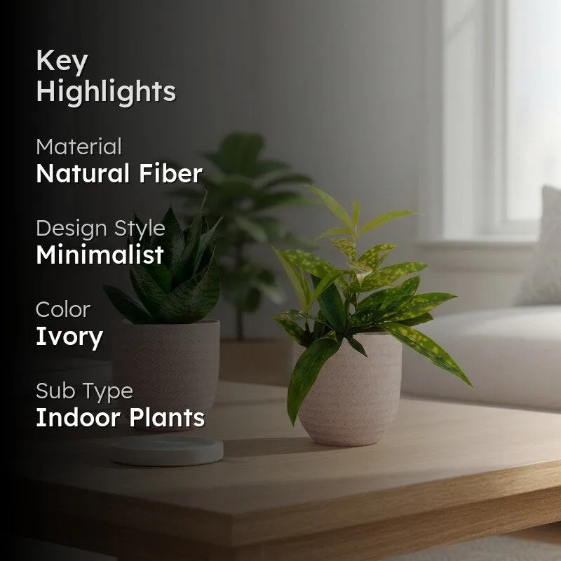 Greenkin Bamboo & Snake Live Plants (Ivory) - Set Of Two media 2