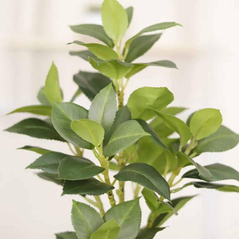 Artificial Green Leaf Plant With Black Fiber Pot - 1.3 Feet media 6