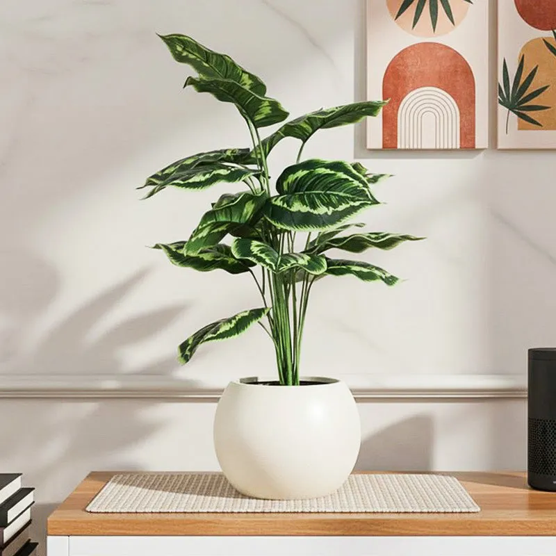 Faux Calatheas Silk Plant With Black Plastic Pot - 2.13 ft media 1