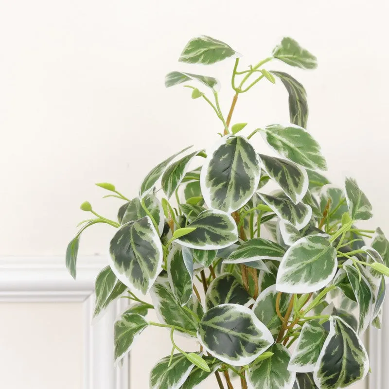 Artificial Pearls & Jade Pothos Plant With Black Fiber Pot - 1 Feet media 6