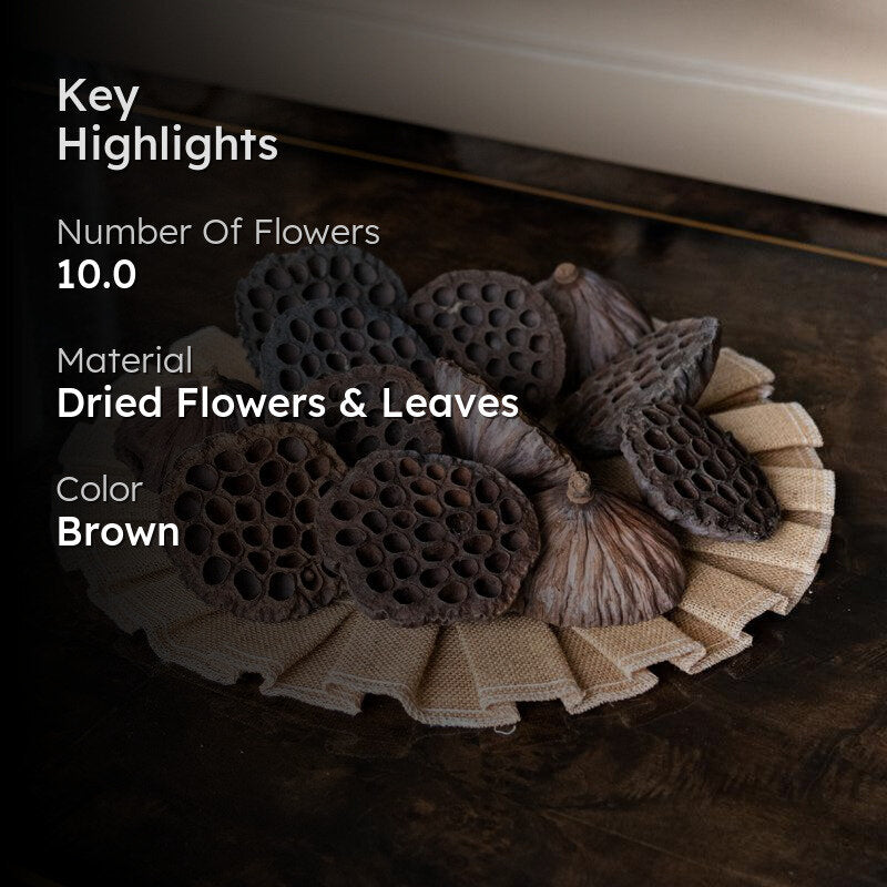 Sitto Dried Lotus Pods - Set Of Ten media 2