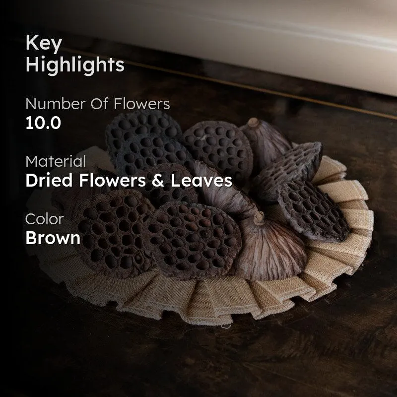 Sitto Dried Lotus Pods - Set Of Ten media 2