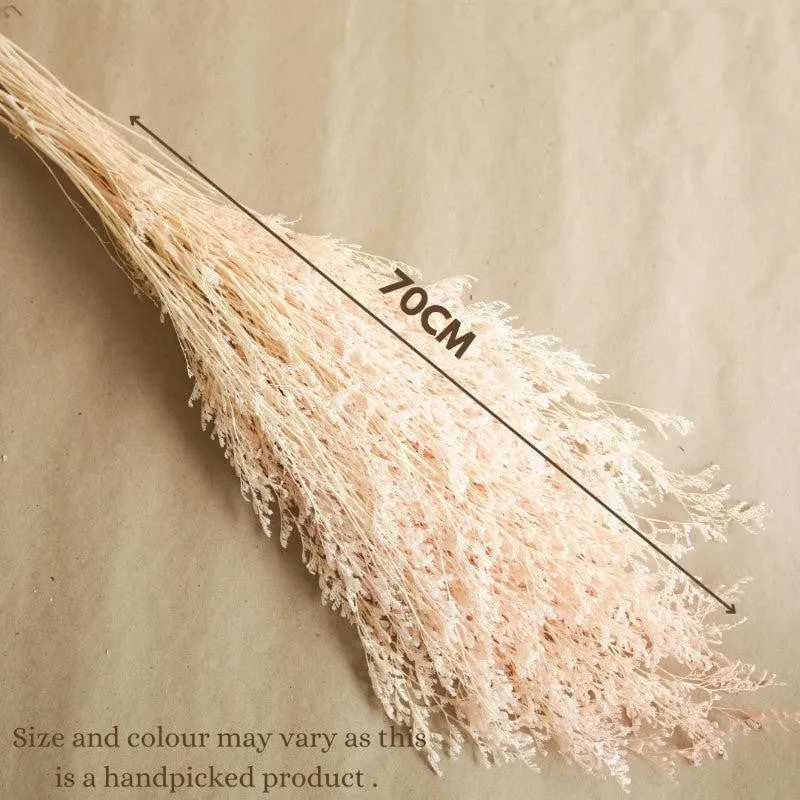 Dried Dual Lavender Limonium Stem - Set Of Three media 6
