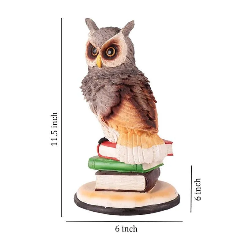 Nocturna Nest Owl Polyresin Showpiece media 6