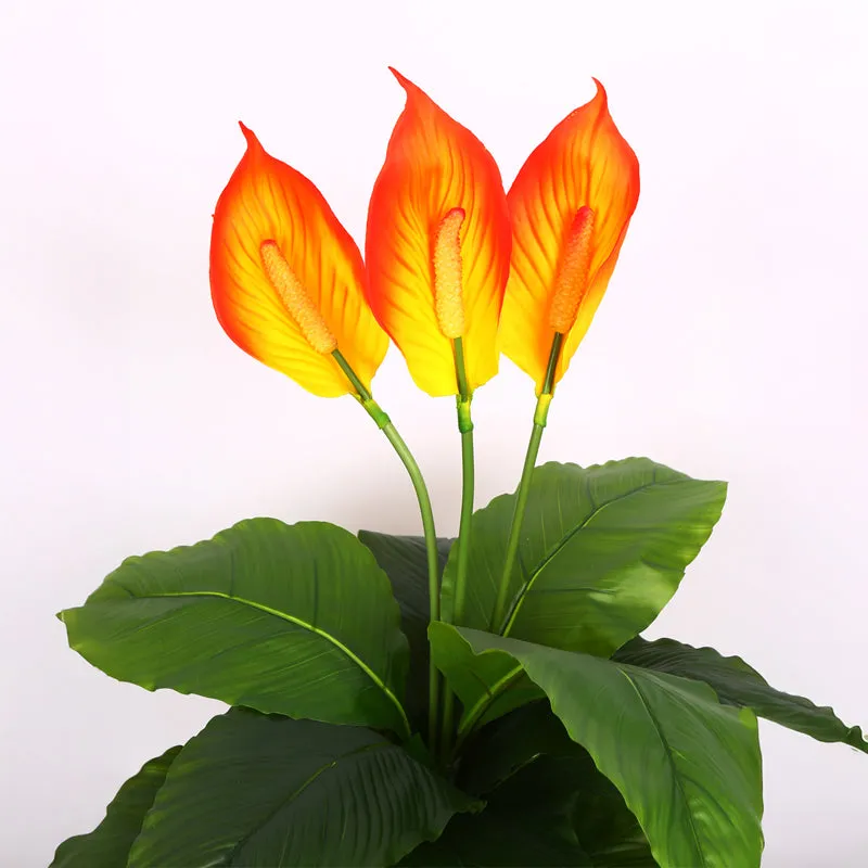 Evena Artificial Spathe Plant With Black Plastic Pot media 5