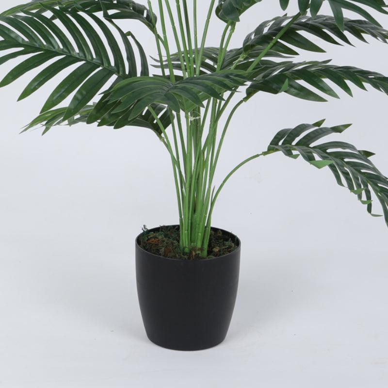 Faux Butterfly Palm Plant With Black Plastic Pot - 2.79 ft media 6