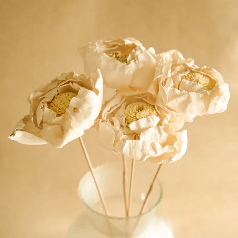 Natural Peony Handmade Dried Artificial Flower - Set Of Five media 3