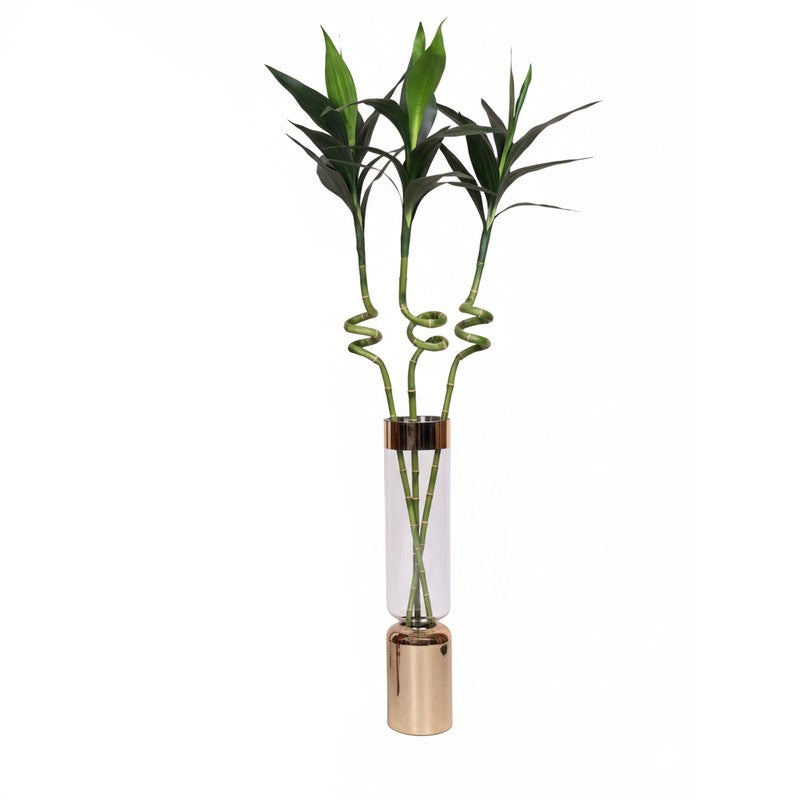 Artificial Spiral Bamboo Stick Without Pot (4.4 Feet) - Set Of Three media 5