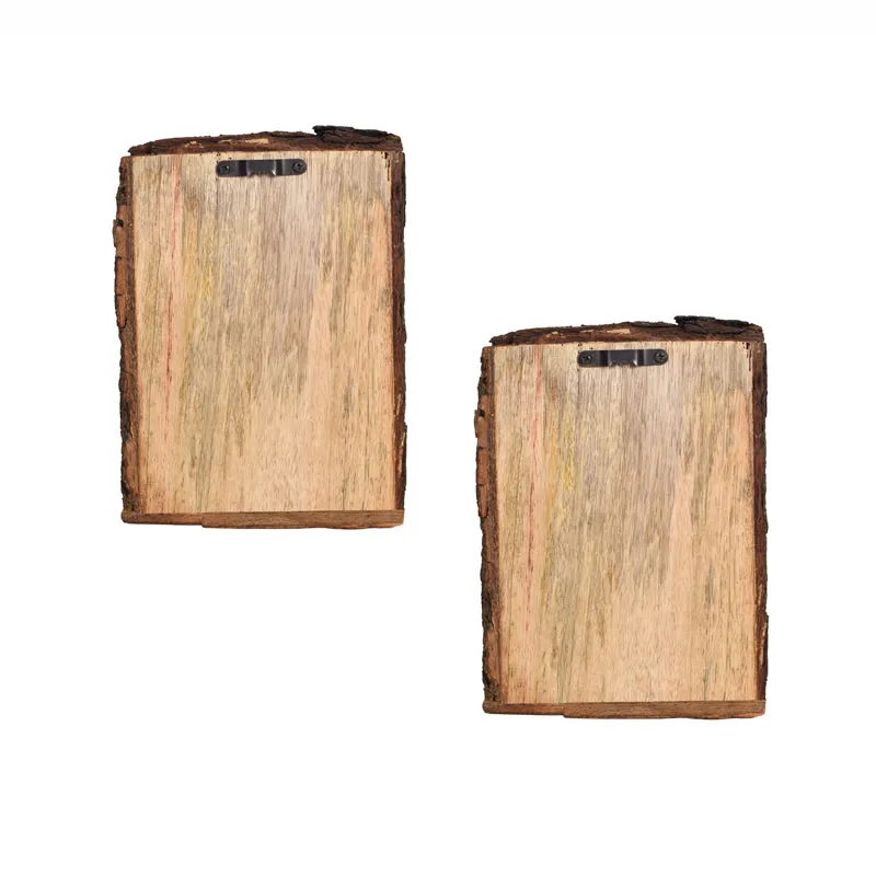 MannMayuri Wall Art - Set Of Two media 5